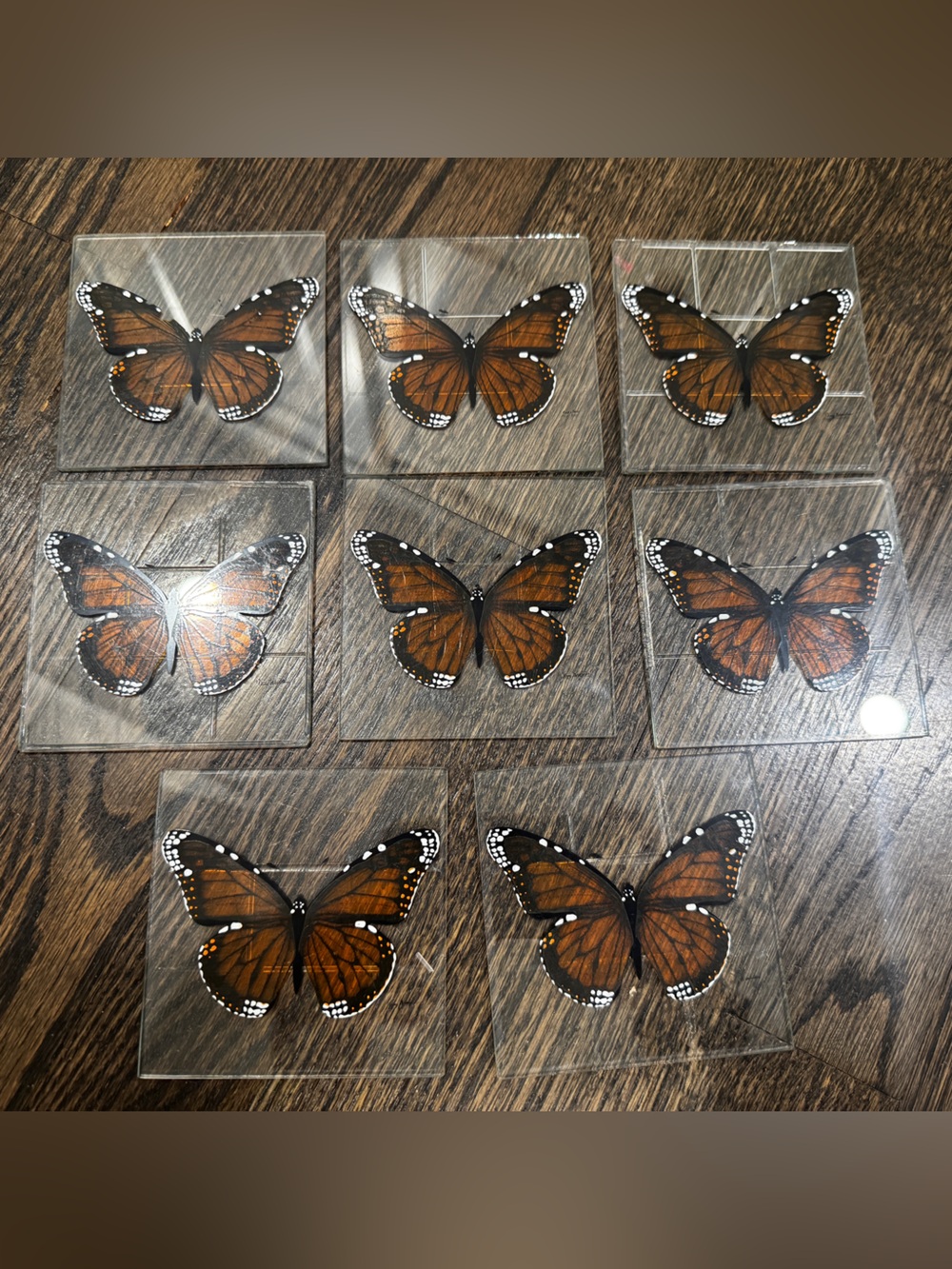 Retro Vintage Amy Brenton Glass Monarch Butterfly Coasters Set of 8 signed 1975